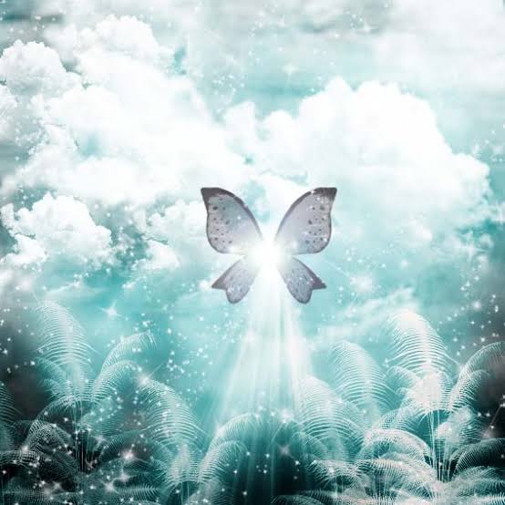 interpretation-of-dream-symbol-butterfly-dreamswiki